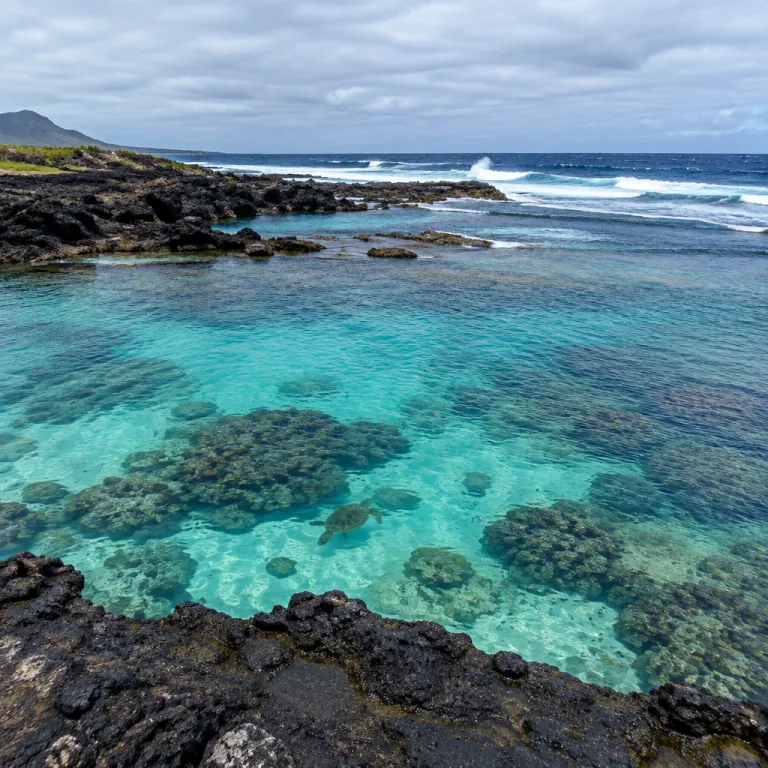 Beyond Hanauma Bay: The Oahu Snorkel Spots Worth Building a Trip Around